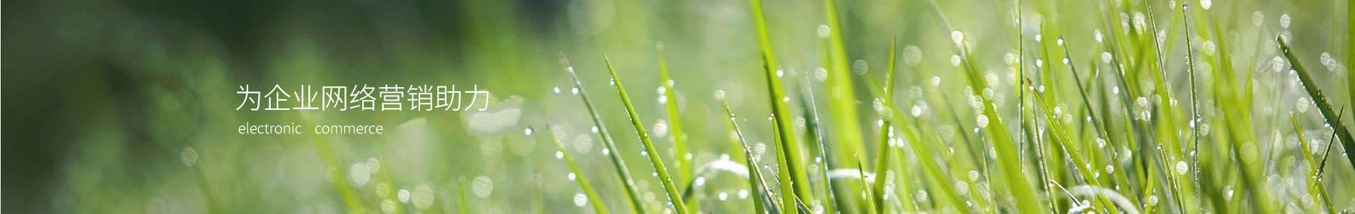 кҫ޹˾